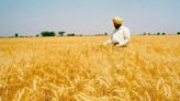 Tax reforms: India’s agricultural income exemption needs a rejig