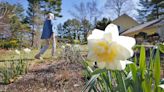 Water Street Flower Farm in Hanover is a daughter's dream come true