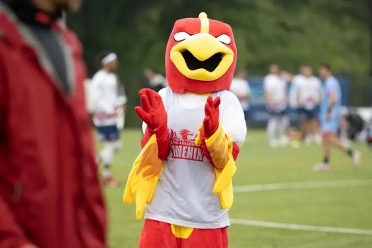 What happens when a pro team lets the internet pick its mascot? Meet Birdy McBirdface.