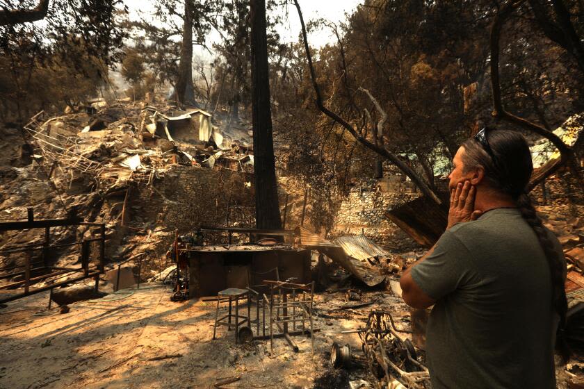 'It was Armageddon-like': Mount Baldy Village united to save their town from Bridge fire