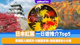 日本紅葉一日遊推介Top5！$394起輕鬆遊青森奧入瀨溪流、川越喜多院、渡良瀨溪谷小火車、早鳥優惠低至8折