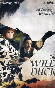 The Wild Duck (film)