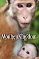 Monkey Kingdom