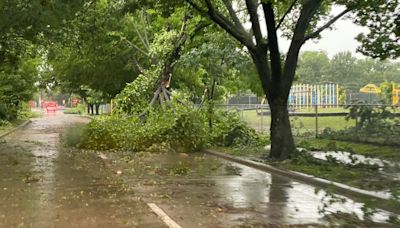 Dallas County issues disaster declaration after Tuesday morning storms