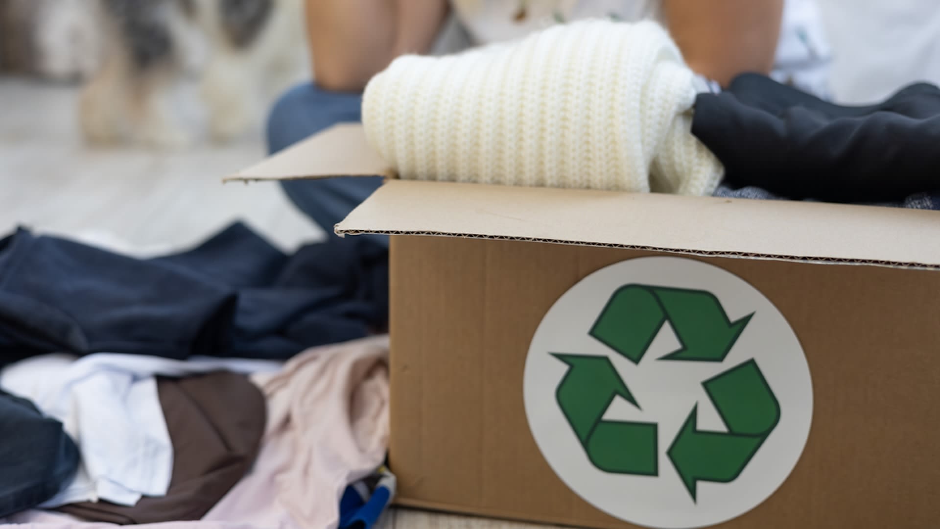 Stuff this bag with your old stuff and watch the rewards pile up — it's an easy way to get paid to recycle