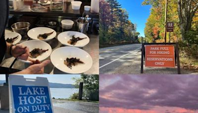 Day trips in New Hampshire: Ideas for beer lovers, foodies, family trip planners and more