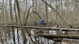 Steve Fagin: Rhode Island's sandy soil gives hikers a break