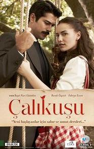 Çalıkuşu (TV series)