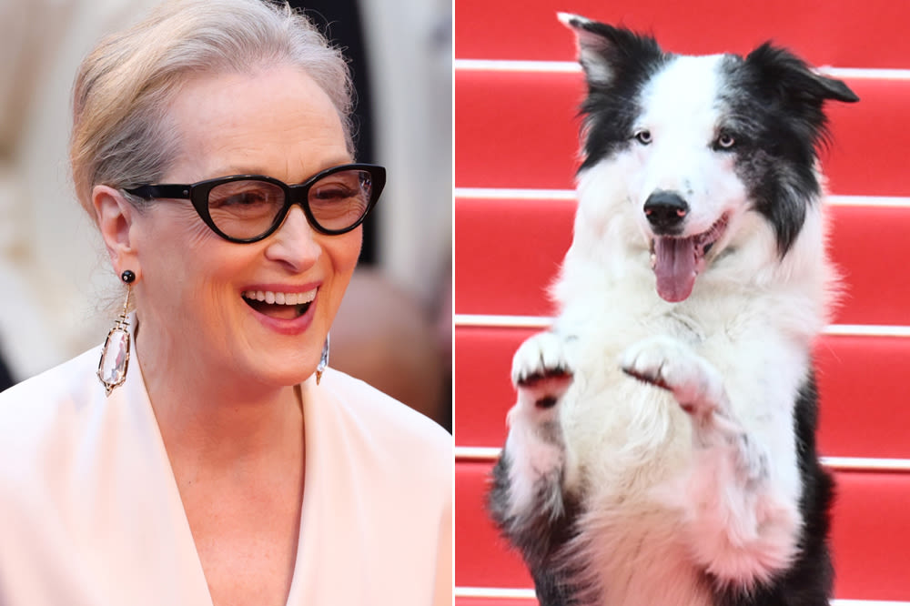 Cannes Film Festival Opens With Storm Clouds, Meryl Streep and Messi the Dog