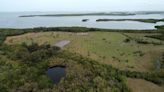 Does Manatee County need more money to protect land from development? Officials say no