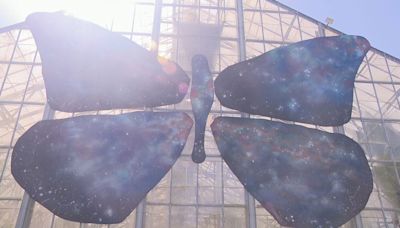 Krohn Conservatory's butterfly show has out-of-this-world theme