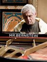 Mr. Bernstein