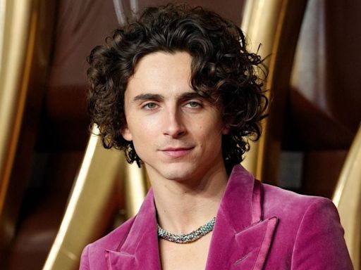 Tras encarnar a Bob Dylan: Timothée Chalamet protagonizará nueva película de A24 - La Tercera