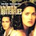 In the Time of the Butterflies (film)