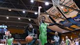 Patroons lose regular-season finale, will open postseason on road