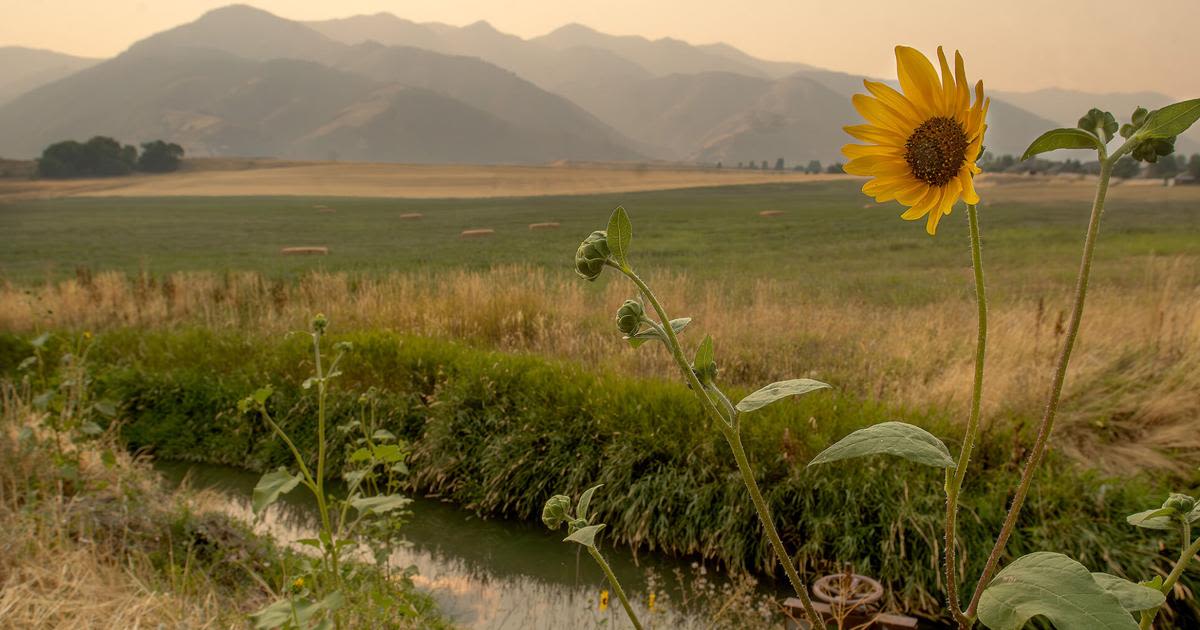 Fires in Idaho and Oregon causing hazy skies and poor air quality