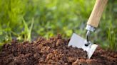 Guide to Soil Amendments: What They Are and How to Use Them