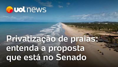 Privatização de praias: entenda o que muda com proposta que está no Senado