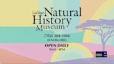 Las Vegas Natural History Museum’s Traveling Exhibit