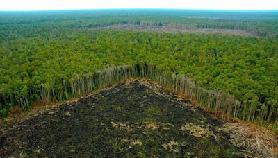 Urge recuperar los ecosistemas degradados para salvaguardar la especie humana