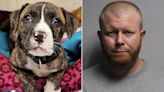 Ohio Man Arrested After Puppy Found Abandoned and Tied in Drawstring Bag at Local Park
