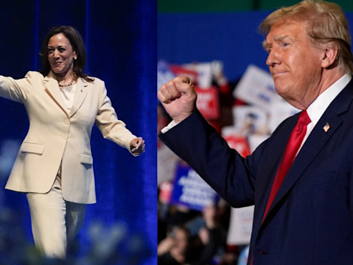 Donald Trump Is Backing Out Of Debates, Kamala Harris Reacts: 'Any Times, Any Place?'