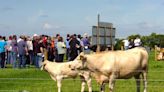 Options for the 20-hours-a-week farmer up for debate at Teagasc Beef open day