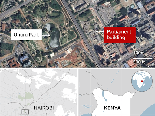 Thirteen killed and parliament set ablaze in Kenya protests - medics