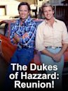 The Dukes of Hazzard: Reunion!