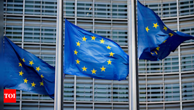 EU states approve 14th sanctions package against Russia, diplomats say - Times of India