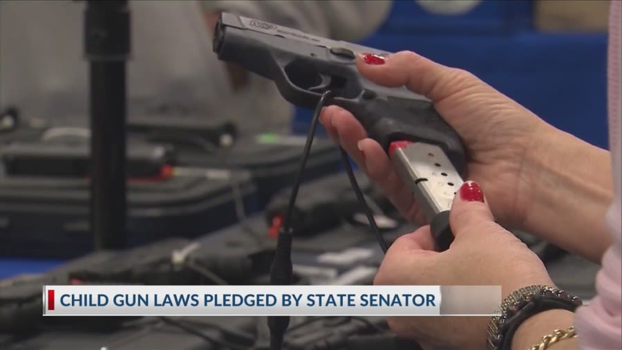 Louisiana senator to introduce gun safety bill after BRProud investigation into child gun deaths