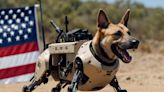 Robot Dogs with AI Weapons Undergo Testing by US Marines