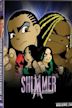 Shimmer Volume 24