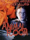 Animal Room