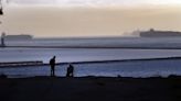 Body found floating at the Port of Los Angeles