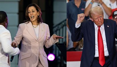 What Kamala Harris and Donald Trump's music choices say about the 2024 race