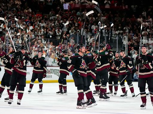 Alex Meruelo backing out of ownership of Coyotes after land auction shelved, AP source says