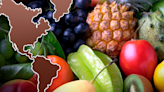 Descubre los 5 países que exportan la mayor cantidad de frutas a todo el mundo: 2 están en América