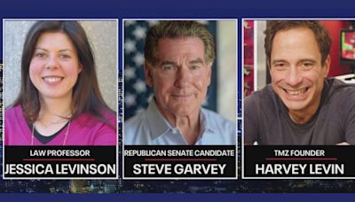 The Issue Is: Steve Garvey, Jessica Levinson, Harvey Levin