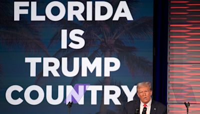 What do Florida’s famous oranges and Donald Trump have in common?
