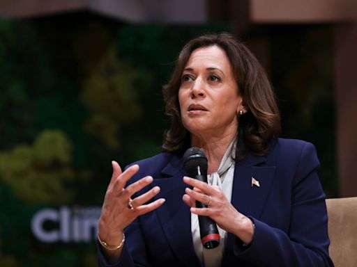 'She Can't Be Serious': RJC Launches Five-Figure Ad Slamming Harris for 'Snubbing Israel'