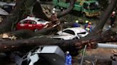 影》吉隆坡市中心 巨木倒塌 1死1傷 17車毀 - 國際