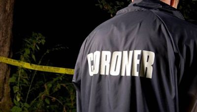 South Carolina man killed when off-road vehicle collides with pickup truck, coroner says