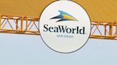 SeaWorld offering free tickets for military in May