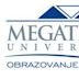 Megatrend-Universität