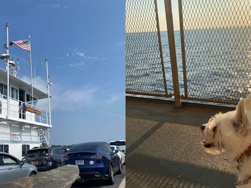 I took 2 kids and a dog on 3 separate ferries to get to our summer vacation. The 6-hour journey was so much better than driving.