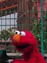 Elmo's Little Star