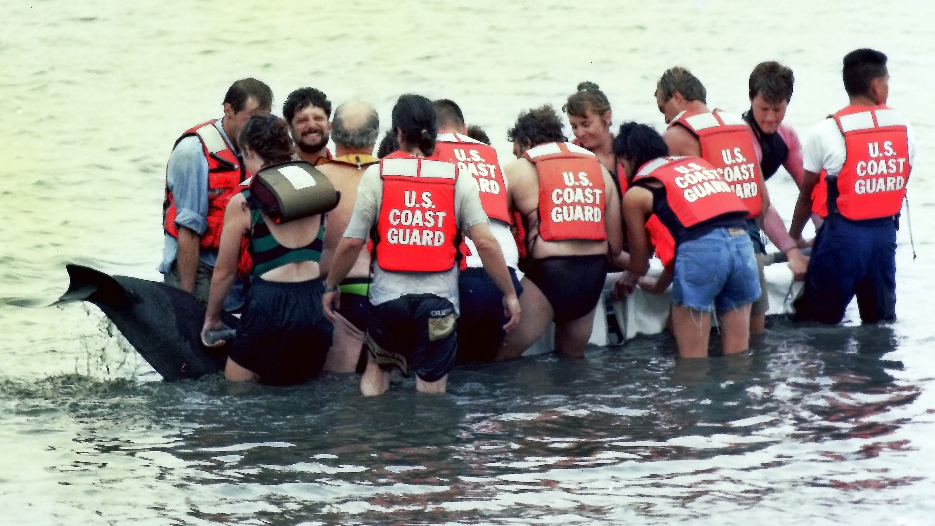 This day in history: Whale visits Milton Harbor in Rye