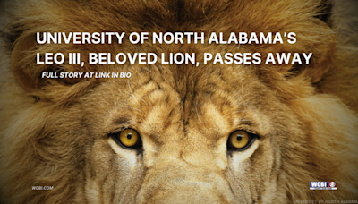 University of North Alabama’s Leo III, beloved lion, passes away