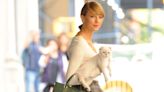 Taylor Swift’s Cats: A Definitive Guide to Swift’s Kitties